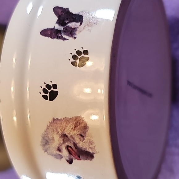 0774. BowWowMeow's Ceramic Decorative Bowl for Small Pet Dogs ~ So classy & Cute - Picture 5 of 7